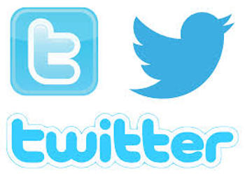Webshop, Website, Online Marketing, IT in Statistics